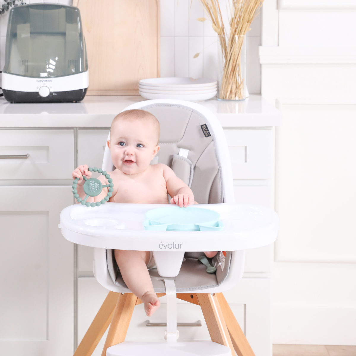 High Chair/Booster Chair